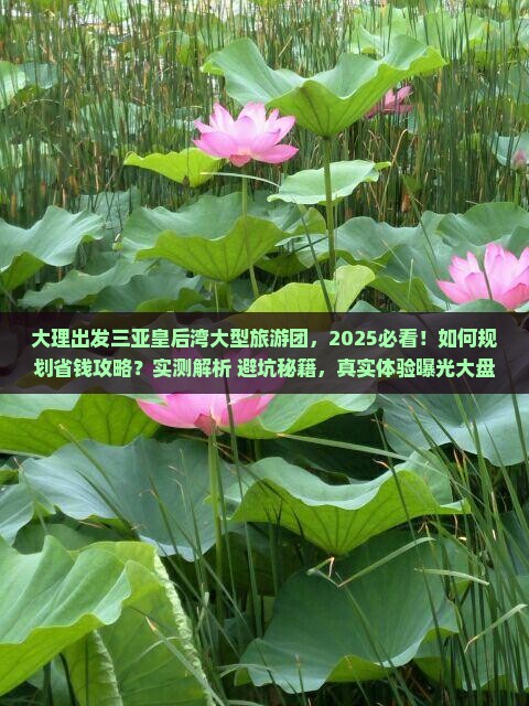 大理出发三亚皇后湾大型旅游团