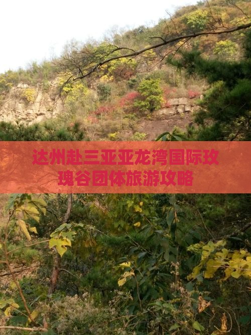 达州去三亚亚龙湾国际玫瑰谷团体旅游