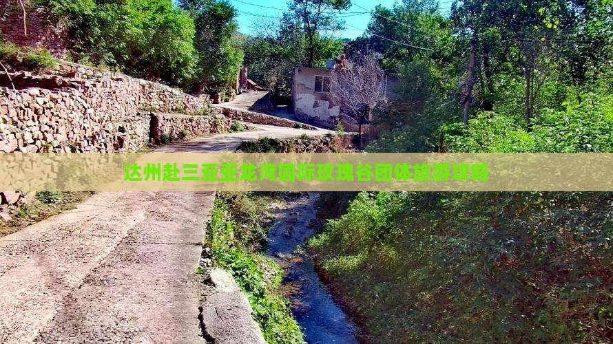 达州去三亚亚龙湾国际玫瑰谷团体旅游