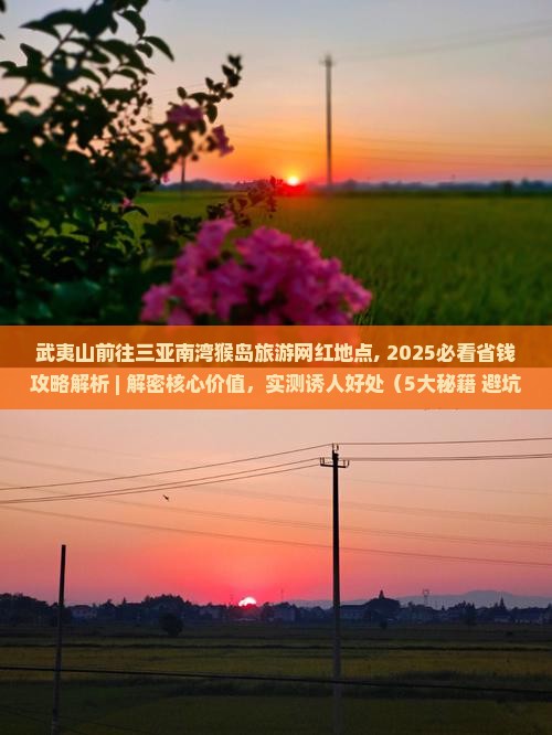 武夷山前往三亚南湾猴岛旅游网红地点