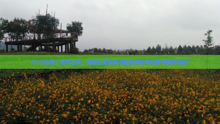 漯河前往三亚凤凰岛四日游