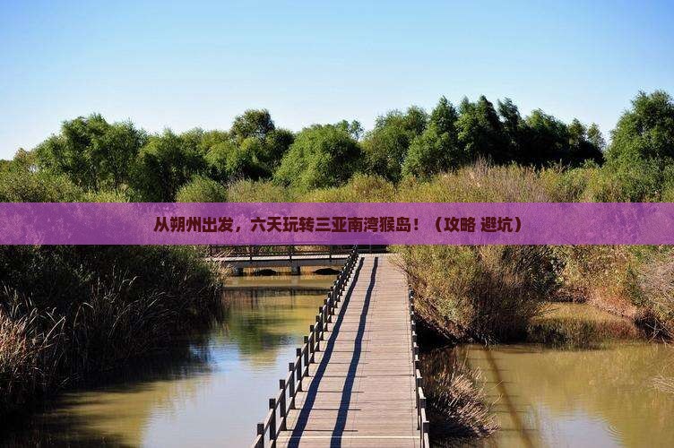 朔州前往三亚南湾猴岛六日游