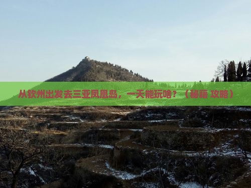 钦州出发三亚凤凰岛一日游 钦州出发三亚凤凰岛一日游