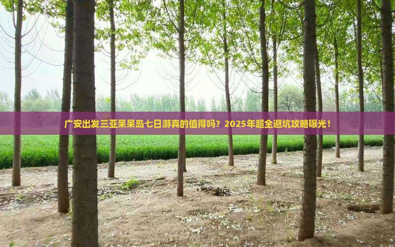 广安出发三亚呆呆岛七日游