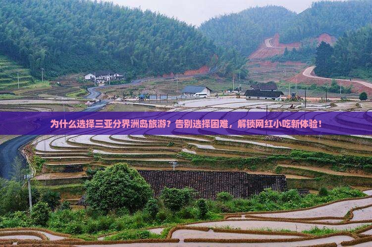 永新出发三亚分界洲岛旅游小吃