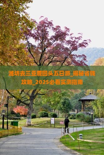 潍坊去三亚鹿回头五日游