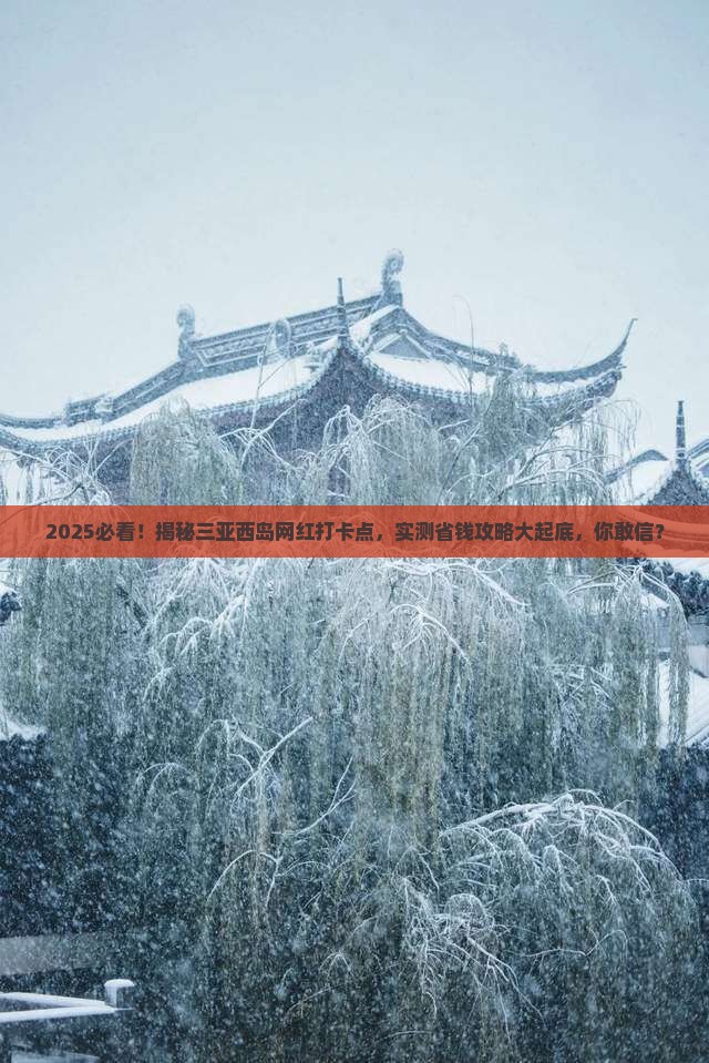 来宾前往三亚西岛旅游网红地点