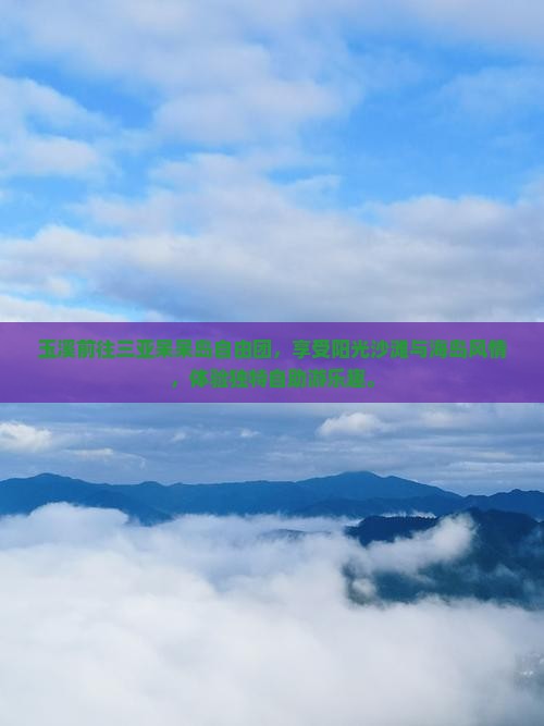 玉溪前往三亚呆呆岛自由团