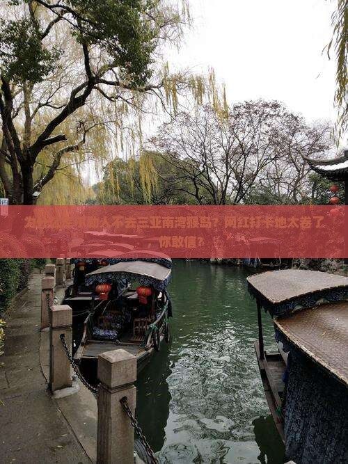 库尔勒去三亚南湾猴岛旅游网红地点
