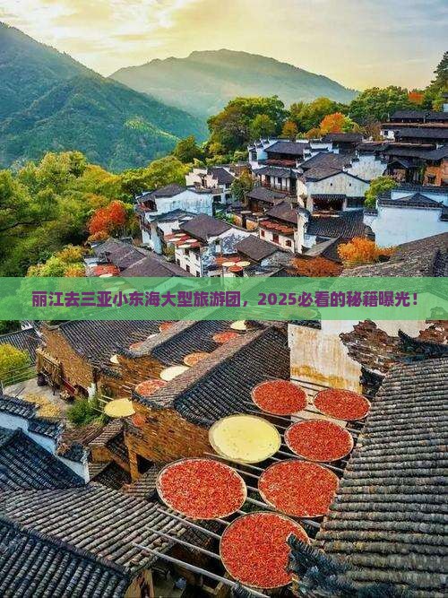 丽江去三亚小东海大型旅游团