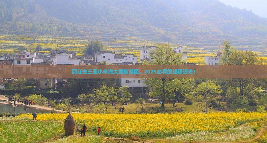丽江去三亚小东海大型旅游团