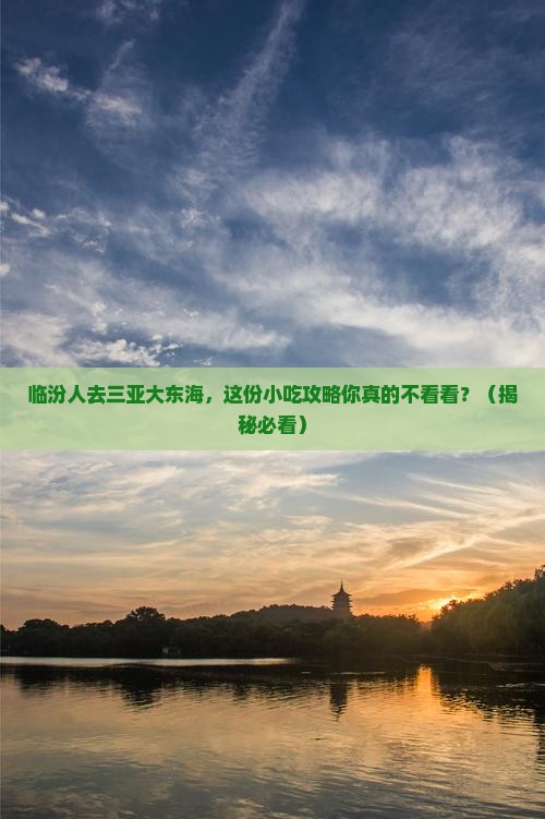 临汾去三亚大东海旅游小吃