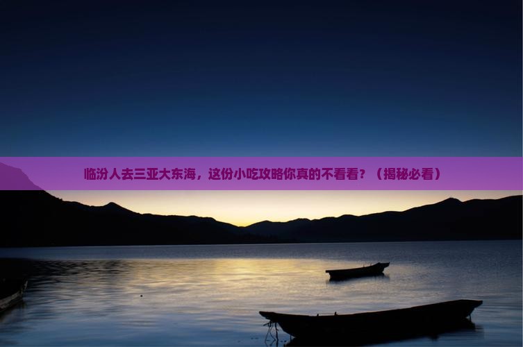 临汾去三亚大东海旅游小吃