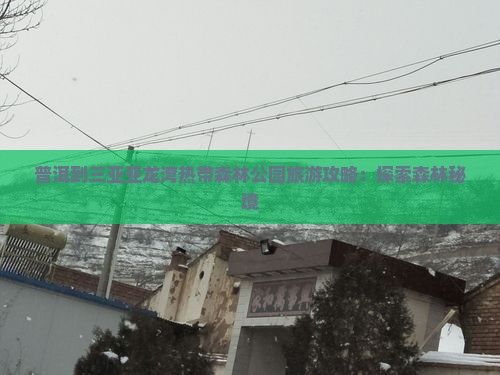 普洱去三亚亚龙湾热带森林公园旅行社