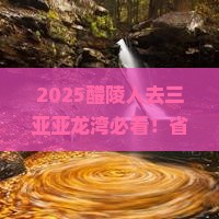 醴陵去三亚亚龙湾旅行社