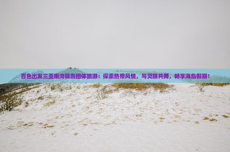百色出发三亚南湾猴岛团体旅游