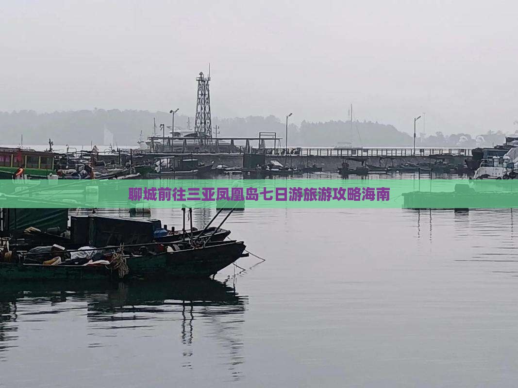 聊城前往三亚凤凰岛七日游
