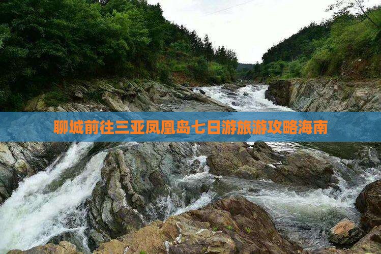 聊城前往三亚凤凰岛七日游