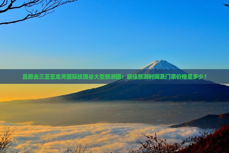 昌都去三亚亚龙湾国际玫瑰谷大型旅游团