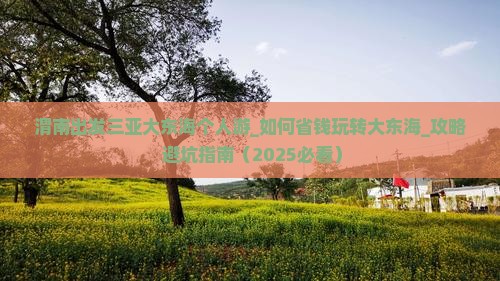 渭南出发三亚大东海个人游