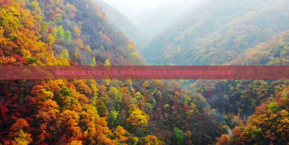 渭南出发三亚大东海个人游