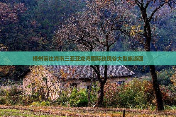 梧州前往三亚亚龙湾国际玫瑰谷大型旅游团