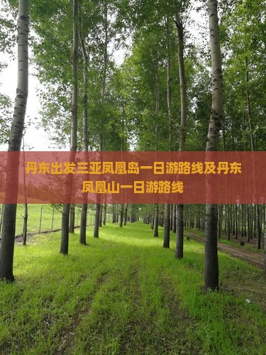 丹东出发三亚凤凰岛一日游
