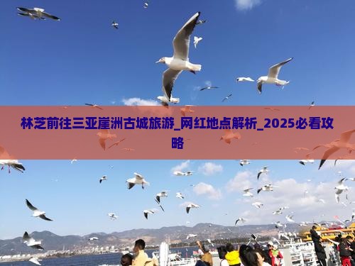 林芝前往三亚崖洲古城旅游网红地点