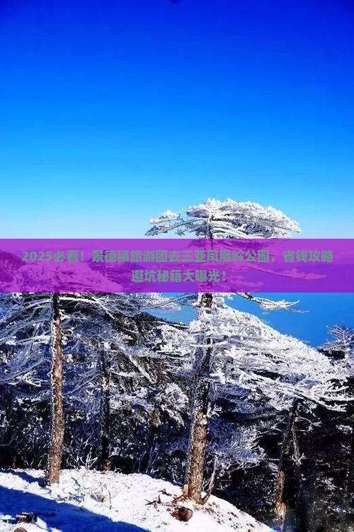 景德镇去三亚凤凰岭公园大型旅游团