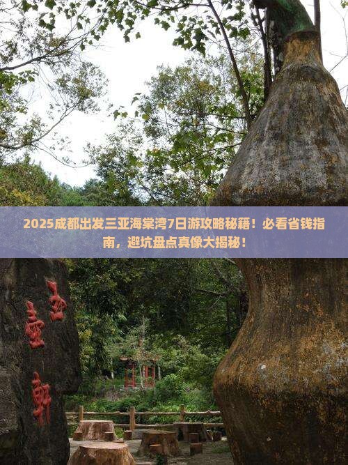 成都前往三亚海棠湾七日游