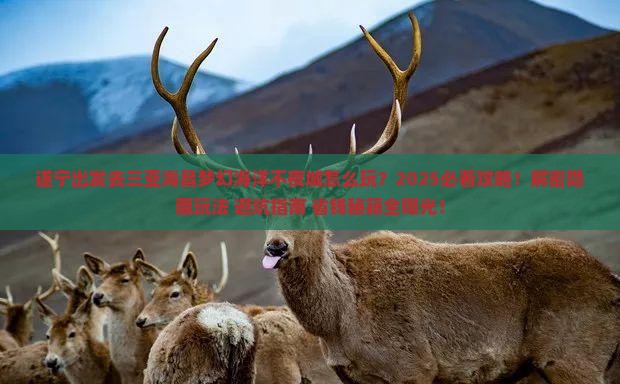 遂宁出发三亚海昌梦幻海洋不夜城必玩地 遂宁出发三亚海昌梦幻海洋不夜城必玩地