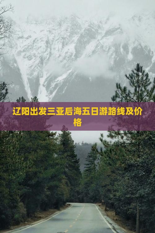 辽阳出发三亚后海五日游
