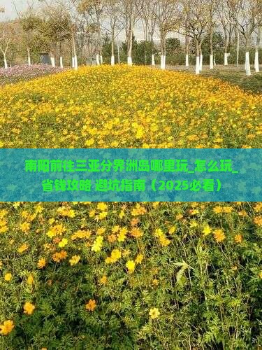 南阳前往三亚分界洲岛哪里玩