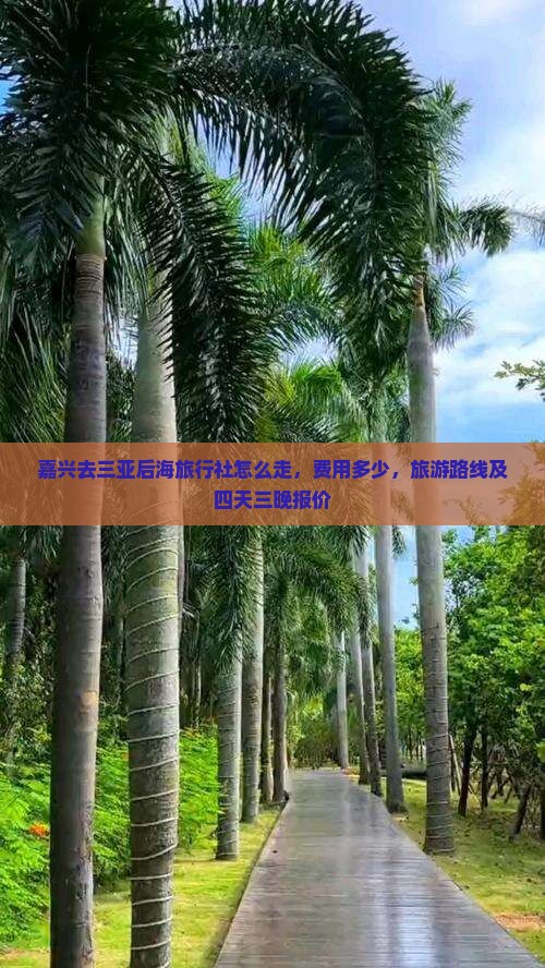 嘉兴去三亚后海旅行社