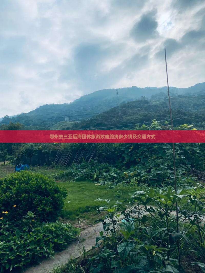 鄂州去三亚后海团体旅游