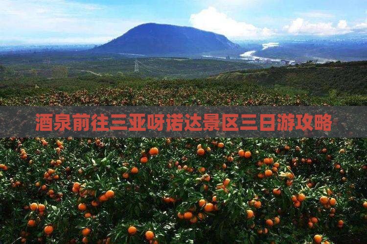 酒泉前往三亚呀诺达景区三日游