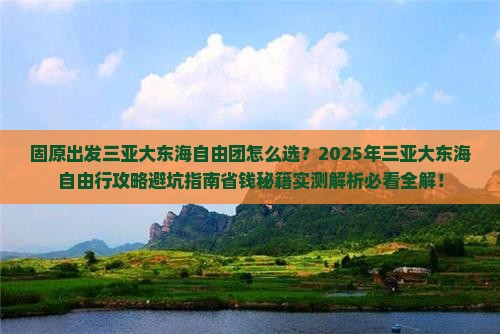 固原出发三亚大东海自由团