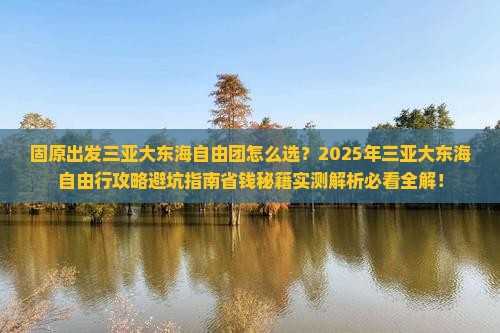 固原出发三亚大东海自由团