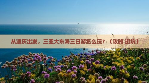 迪庆出发三亚大东海三日游