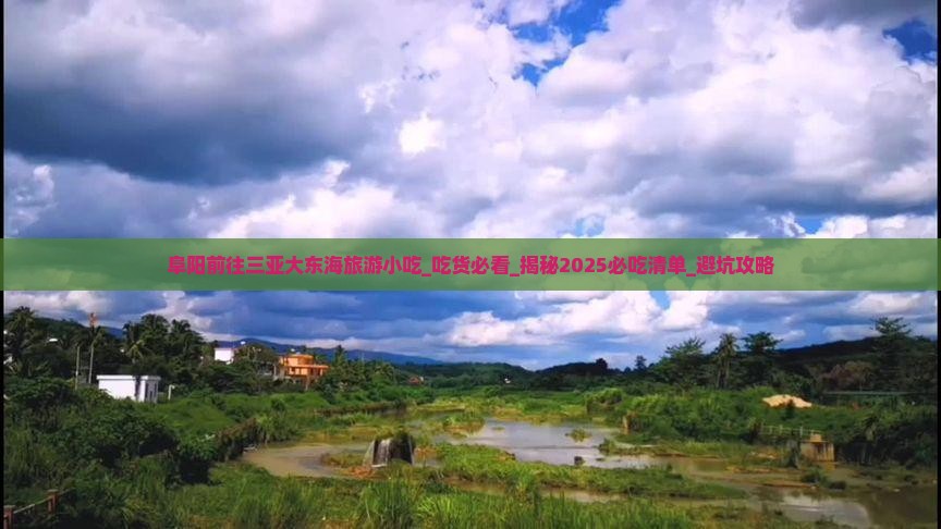 阜阳前往三亚大东海旅游小吃