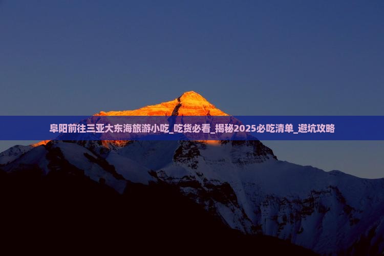 阜阳前往三亚大东海旅游小吃