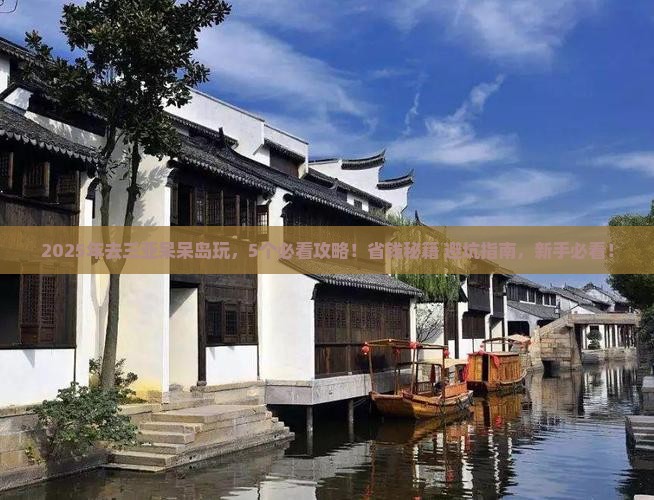温州去三亚呆呆岛哪里玩