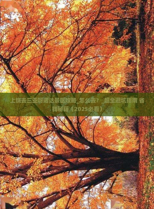 上饶去三亚呀诺达景区攻略