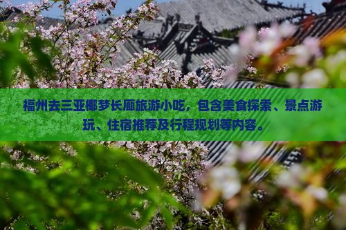 福州去三亚椰梦长廊旅游小吃