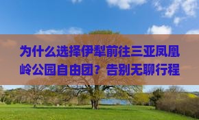 伊犁前往三亚凤凰岭公园自由团