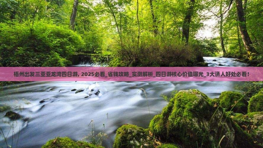 梧州出发三亚亚龙湾四日游