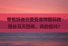 攀枝花去三亚亚龙湾国际玫瑰谷五日游