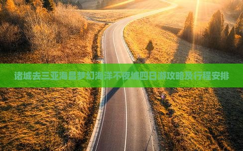 诸城去三亚海昌梦幻海洋不夜城四日游