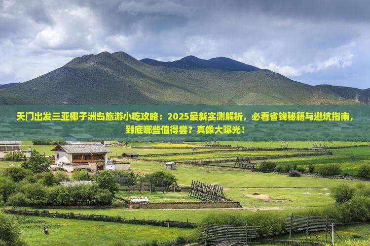 天门出发三亚椰子洲岛旅游小吃