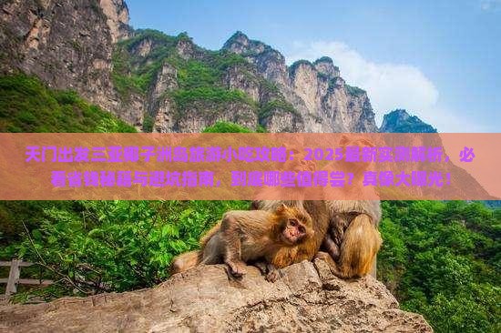 天门出发三亚椰子洲岛旅游小吃